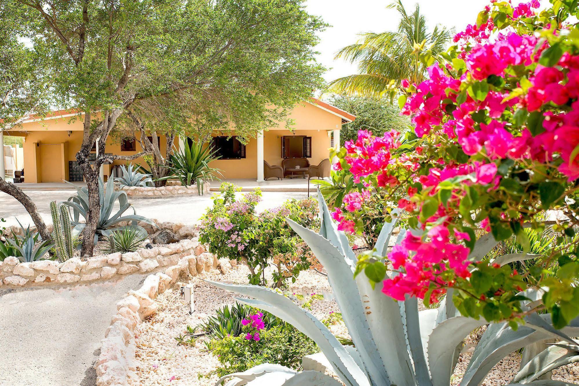Lagun Blou Dive And Beach Resort Exterior photo