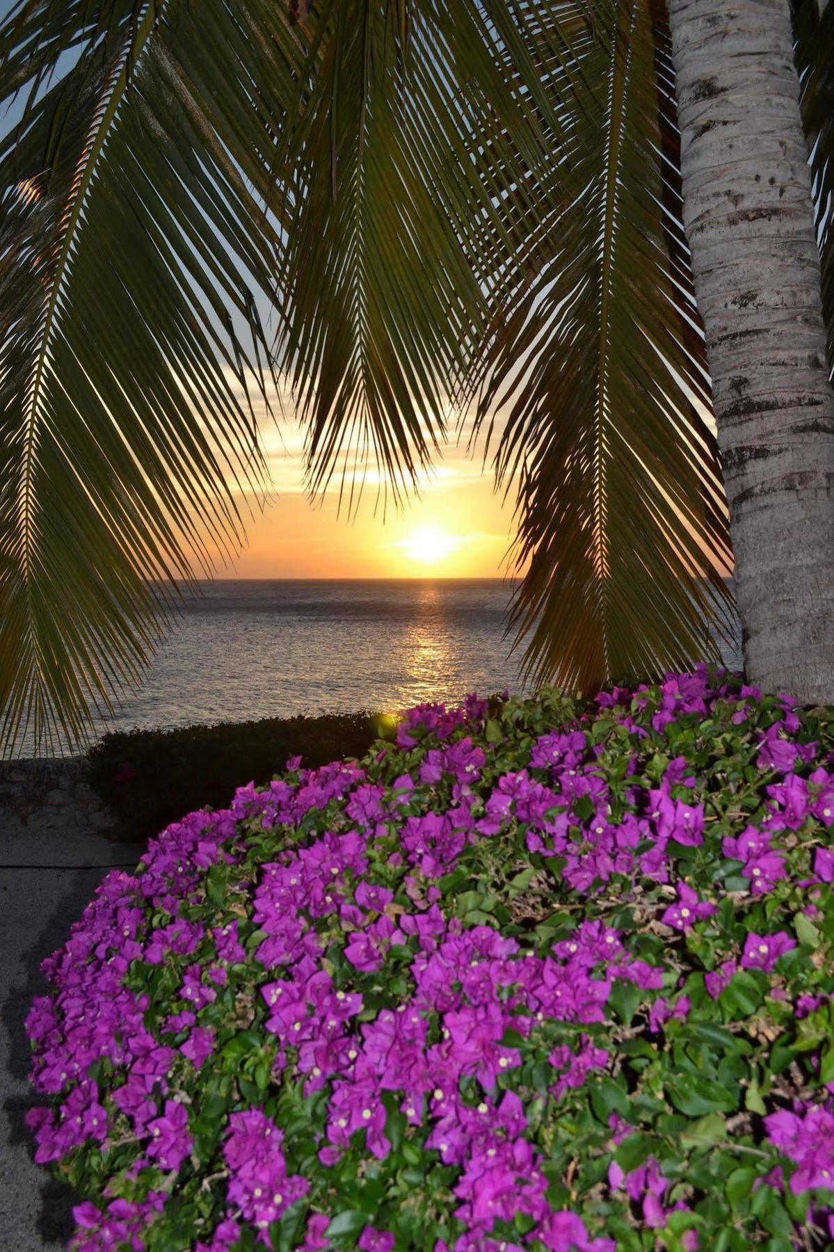 Lagun Blou Dive And Beach Resort Exterior photo